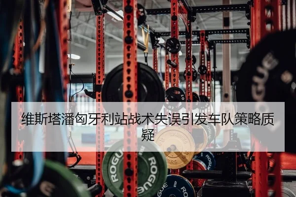 维斯塔潘匈牙利站战术失误引发车队策略质疑